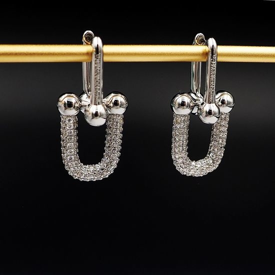 Tiffany & Co. Classic Chain Link Earrings