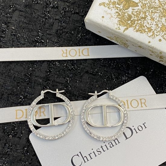 Christian Dior CD Delicate Stud Earrings High Quality