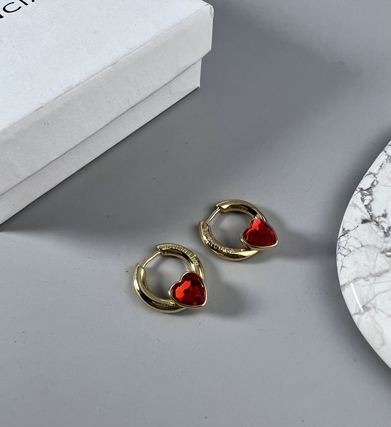 Balenciaga Classic Stylish Daily Earrings