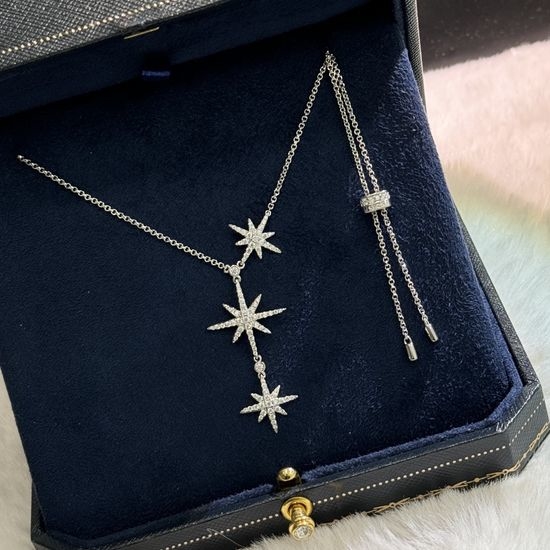 Apm monaco Meteor Pattern 925 Silver Clavicle Necklace