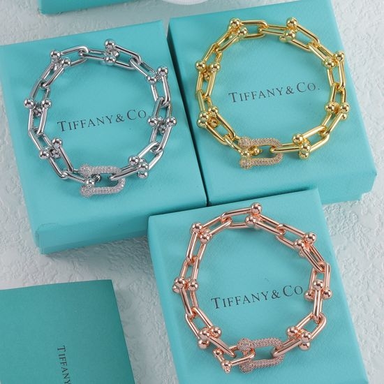 Tiffany & Co. Thick Chain Gradient Design Bracelet