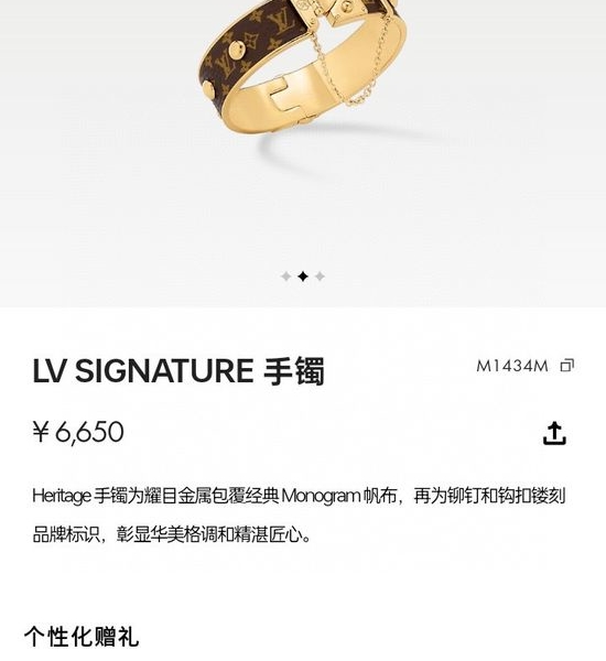 Louis Vuitton LV Canvas Print Bangle Bracelet