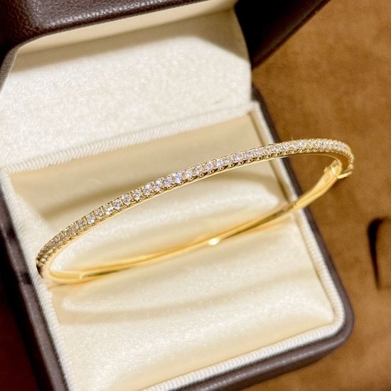 Cartier Sterling Silver Full Diamond Bangle