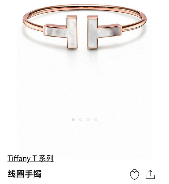 Tiffany & Co. Wide Mother Of Pearl Double T Bangle