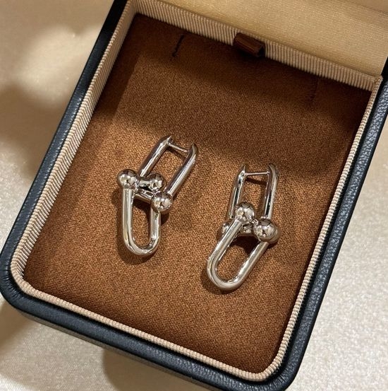 Tiffany & Co. Sterling Silver Double Hoop Earrings