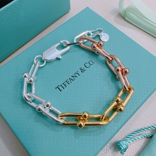 Tiffany & Co. Vintage Style Retro Pendant Chain