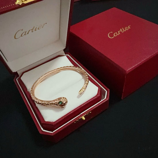 Cartier Diamond Inlaid Snake Head Bangle
