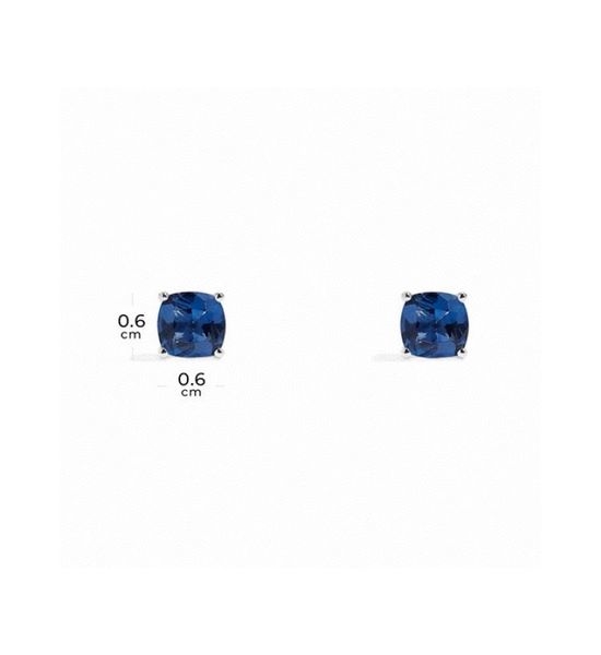 Apm monaco Blue Square Stud Earrings Stylish