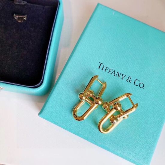 Tiffany & Co. Double Chain Link Drop Earrings