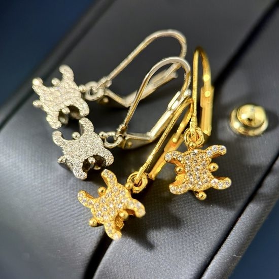 Celine Rhinestone Decor Classic Drop Dangle Earrings