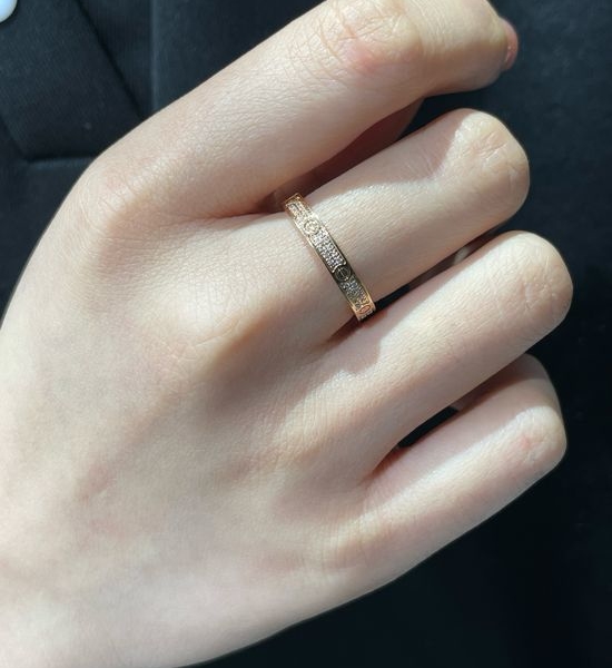 Cartier Narrow Two-row Diamond Paved Ring
