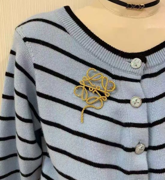Loewe Perfect Daily Wear Brooch