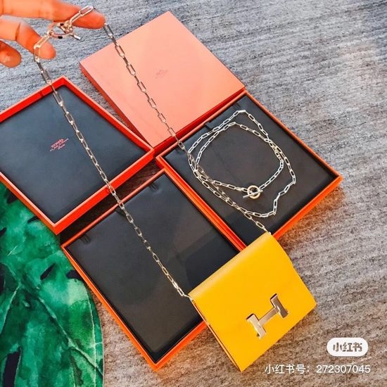 Hermes Exquisite Elegant Long Necklace 110cm