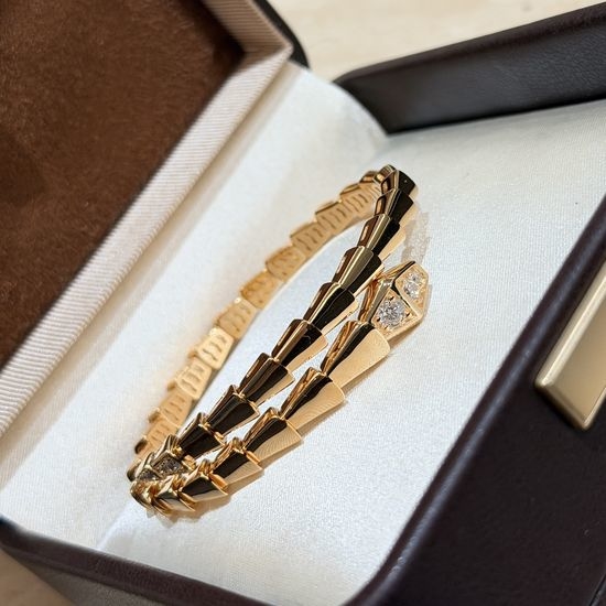 Bottega Veneta BV Spring Snake Bangle Premium Polished Finish
