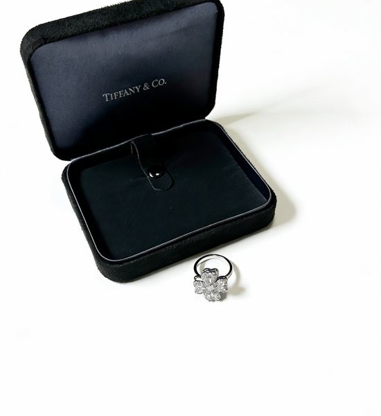 Tiffany & Co. Simple Zircon Inlaid Plated Ring