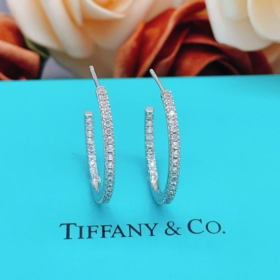 Tiffany & Co. Silver Inlaid Diamond Round Earrings