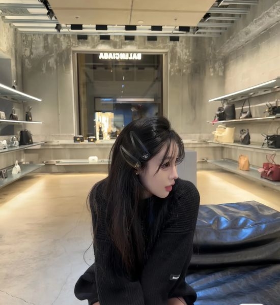 Balenciaga Classic Simple Metal Hair Clips