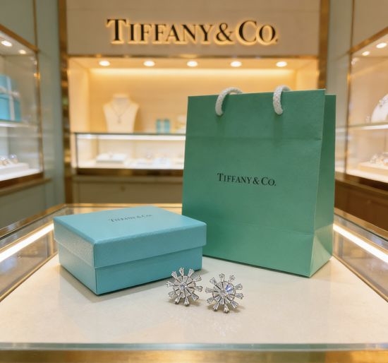 Tiffany & Co. Sparkling Diamond Inlaid Stud Earrings