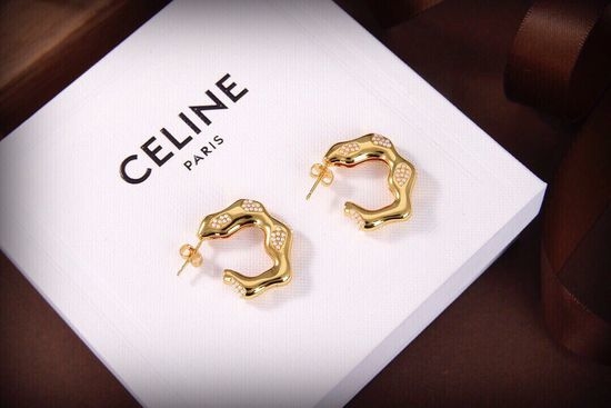 Celine Brass Material Earrings