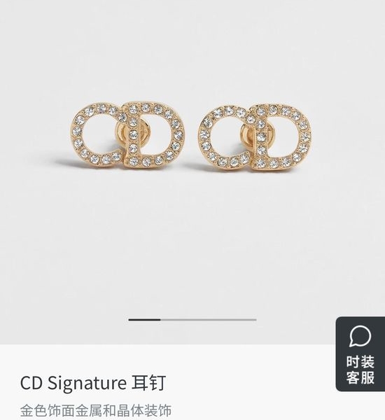 Christian Dior CD Sleek Letter Decor Fashion Earrings