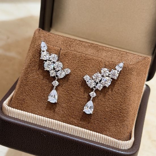 Polo Ralph Lauren Luxury Feather Water Drop Tassel Earrings