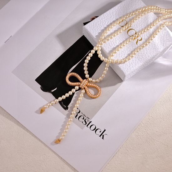 Christian Dior CD Letter Decor Long Chain Fashion Necklace
