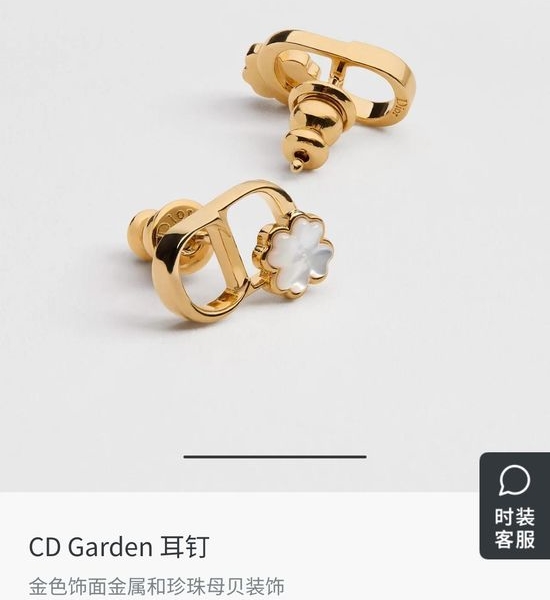 Christian Dior CD Metal Letter Fashion Trendy Earrings