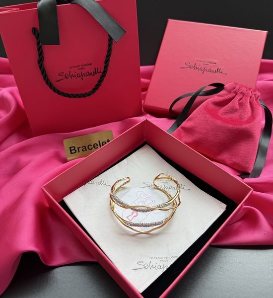 Schiaparelli Luxury Exaggerated Artistic Jewelry Accessories