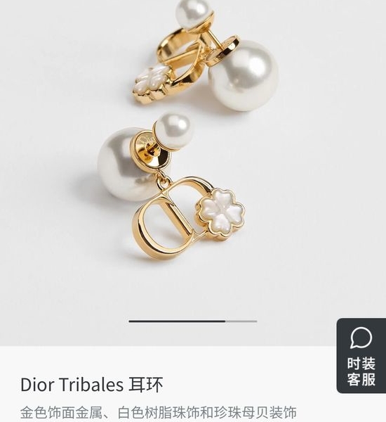 Christian Dior CD Elegant Bow Design Stud Earrings