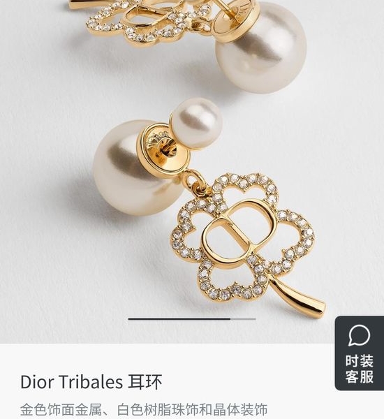Christian Dior CD Classic Metal Alphabet Earrings