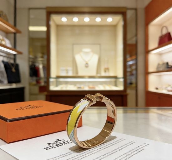Hermes Enamel Bangle Premium Craft Exquisite Workmanship